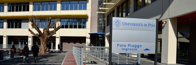 La moneta della rete, Università di Pisa